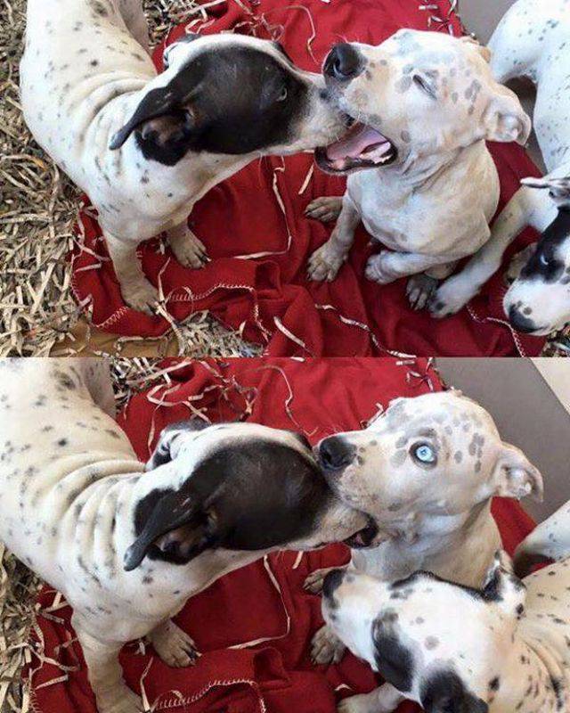 daily picdump 93 pics 29.html - 93 HD Photos | Premium Gallery 2016