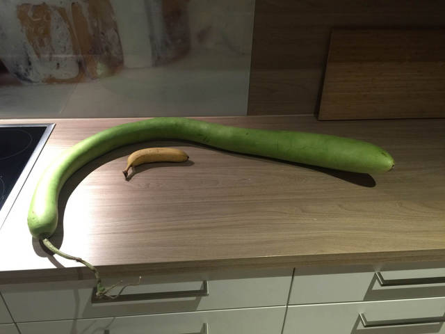 morning picdump 51 pics 4.html - 51 HD Photos | Premium Gallery 2016