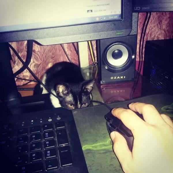 morning picdump 51 pics 4.html - 51 HD Photos | Premium Gallery 2016