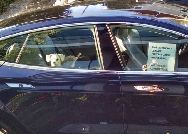 morning picdump 51 pics 4.html - 51 HD Photos | Premium Gallery 2016