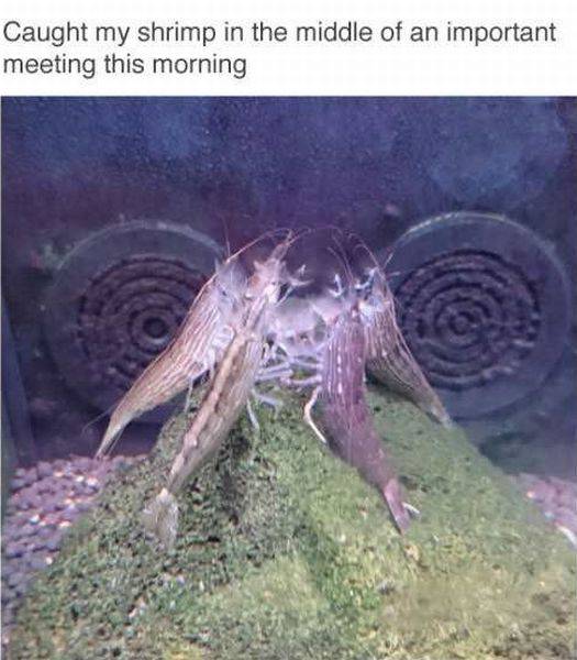 daily picdump 83 pics 37.html - 83 HD Photos | Premium Gallery 2016