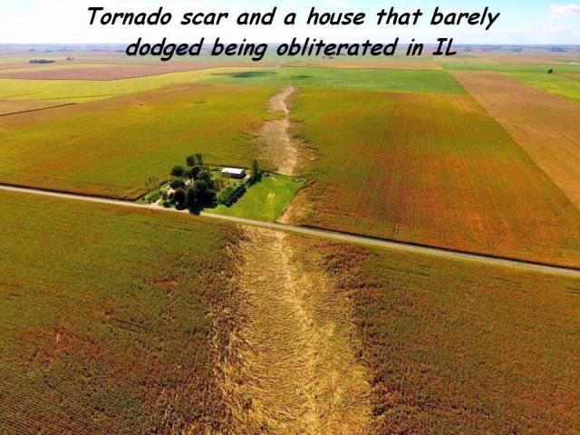 daily picdump 83 pics 37.html - 83 HD Photos | Premium Gallery 2016