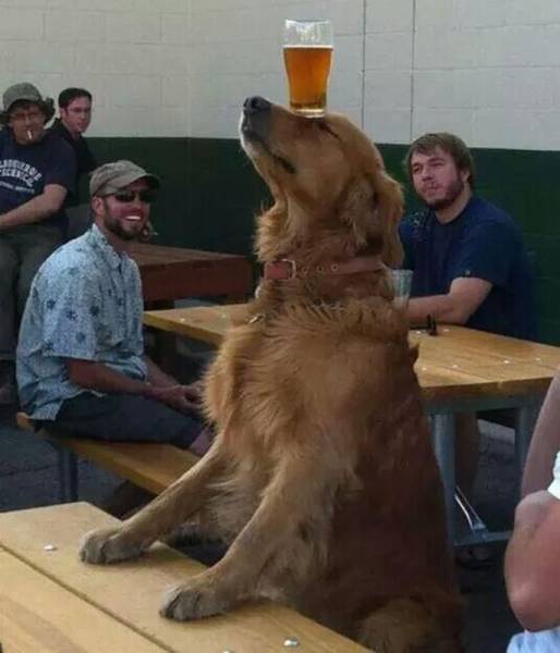 daily picdump 83 pics 37.html - 83 HD Photos | Premium Gallery 2016