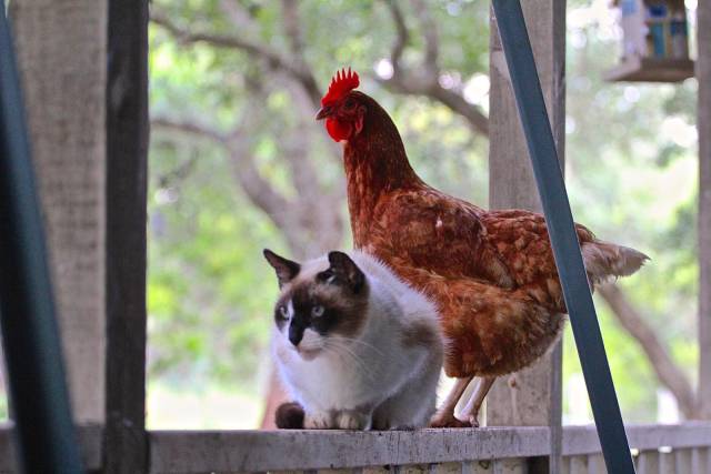 daily picdump 83 pics 37.html - 83 HD Photos | Premium Gallery 2016