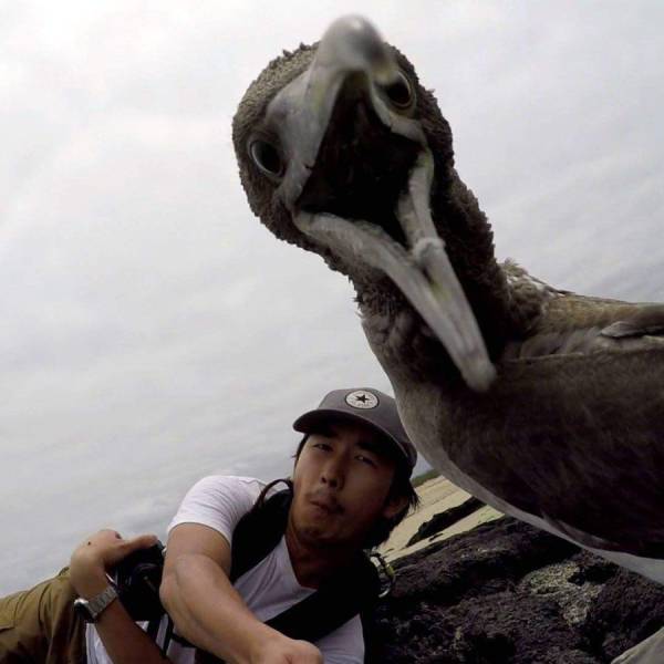 daily picdump 83 pics 37.html - 83 HD Photos | Premium Gallery 2016