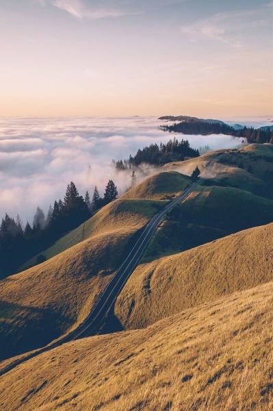 daily picdump 83 pics 37.html - 83 HD Photos | Premium Gallery 2016