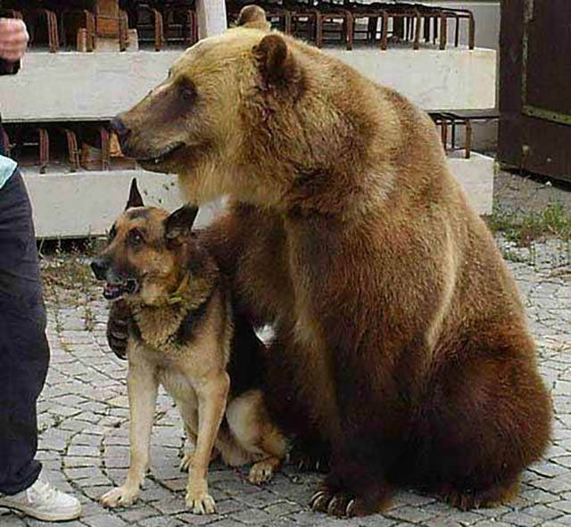 morning picdump 52 pics 9.html - 52 HD Photos | Premium Gallery 2016