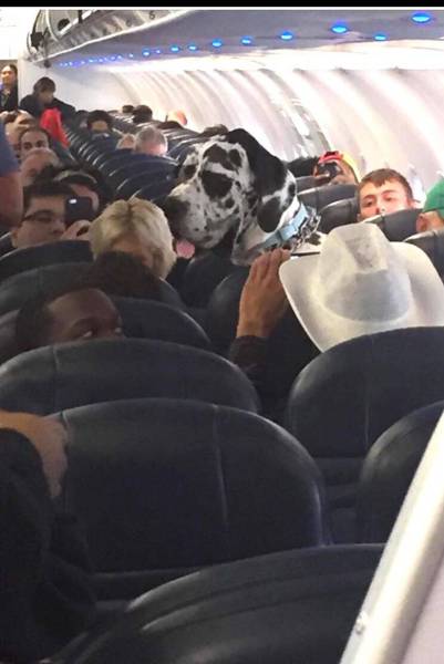 daily picdump 90 pics 3.html - 90 HD Photos | Premium Gallery 2016