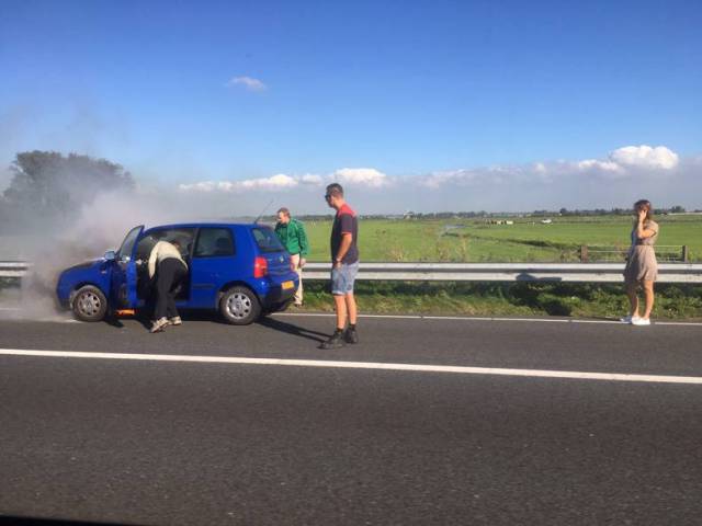 daily picdump 90 pics 3.html - 90 HD Photos | Premium Gallery 2016