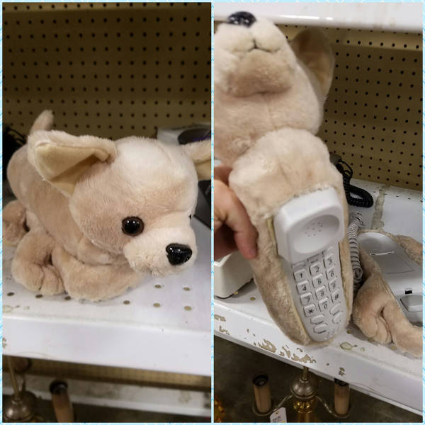 daily picdump 90 pics 3.html - 90 HD Photos | Premium Gallery 2016