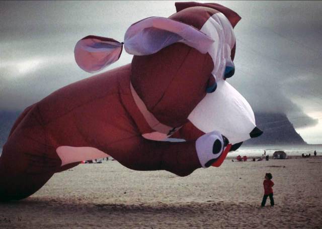 daily picdump 90 pics 3.html - 90 HD Photos | Premium Gallery 2016