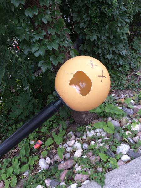 morning picdump 52 pics 16.html - 52 HD Photos | Premium Gallery 2016