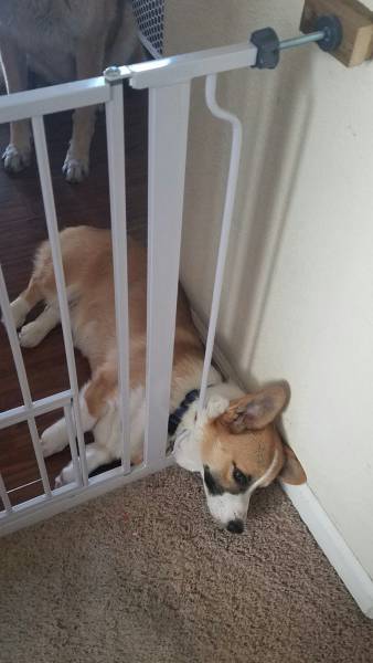 morning picdump 52 pics 16.html - 52 HD Photos | Premium Gallery 2016