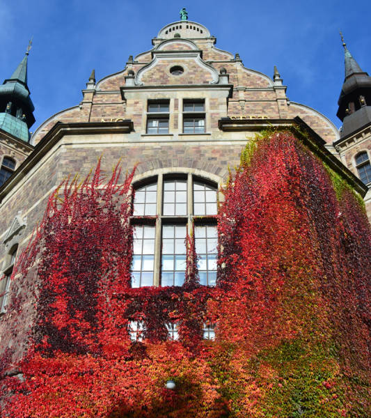 morning picdump 52 pics 16.html - 52 HD Photos | Premium Gallery 2016