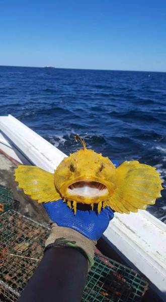 morning picdump 52 pics 16.html - 52 HD Photos | Premium Gallery 2016