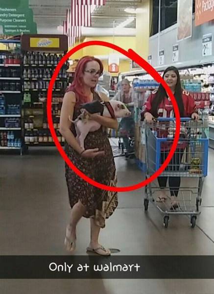 daily picdump 89 pics 38.html - 89 HD Photos | Premium Gallery 2016