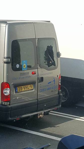 daily picdump 89 pics 38.html - 89 HD Photos | Premium Gallery 2016