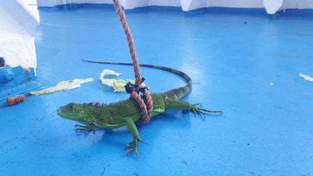 daily picdump 89 pics 38.html - 89 HD Photos | Premium Gallery 2016