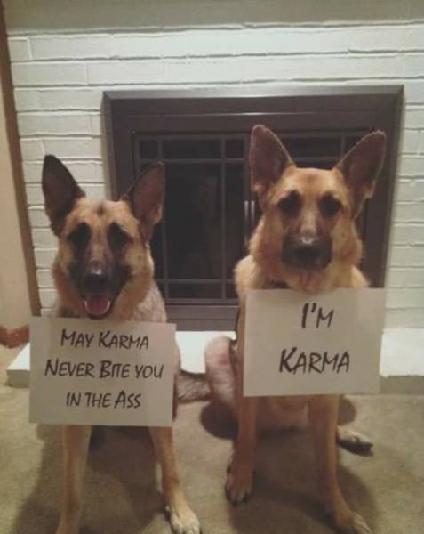 daily picdump 89 pics 38.html - 89 HD Photos | Premium Gallery 2016