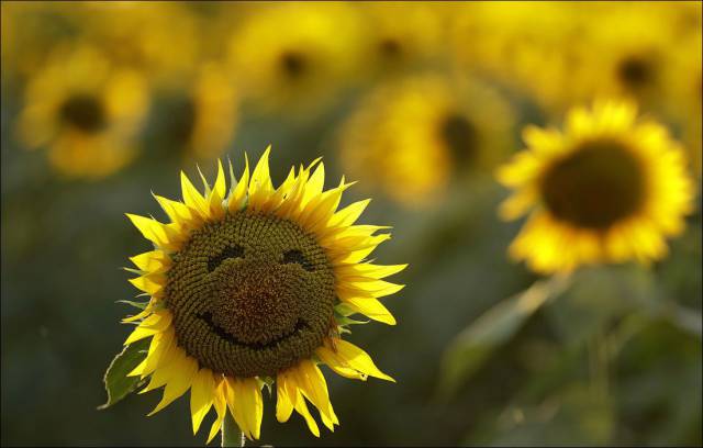 daily picdump 89 pics 38.html - 89 HD Photos | Premium Gallery 2016