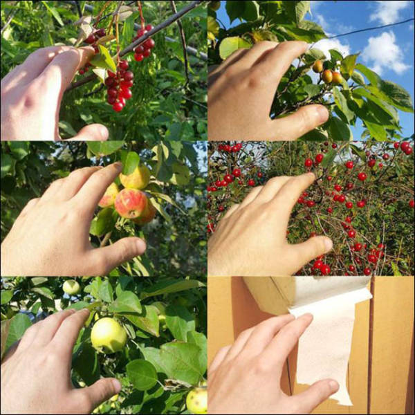 daily picdump 89 pics 38.html - 89 HD Photos | Premium Gallery 2016