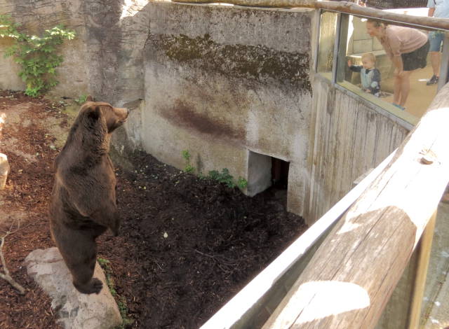 morning picdump 52 pics 14.html - 52 HD Photos | Premium Gallery 2016