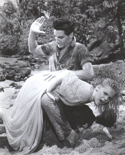 morning picdump 52 pics 14.html - 52 HD Photos | Premium Gallery 2016