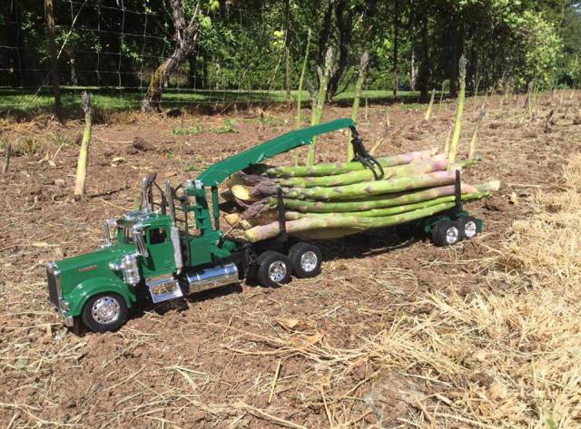 morning picdump 52 pics 14.html - 52 HD Photos | Premium Gallery 2016