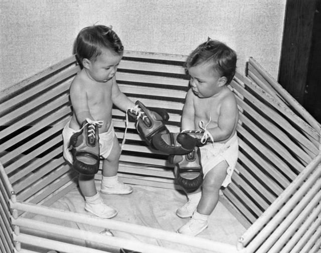 Daily Picdump [WEEKEND EDITION]