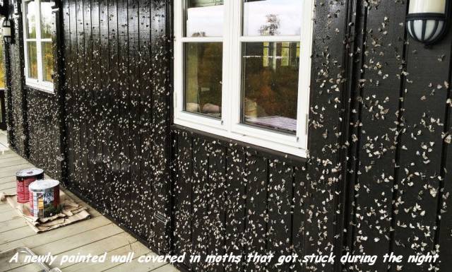 Daily Picdump [WEEKEND EDITION]