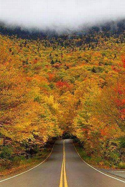 Daily Picdump [WEEKEND EDITION]