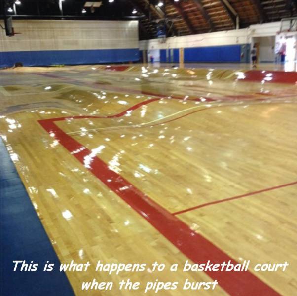 daily picdump weekend edition 61 pics 11.html - 61 HD Photos | Premium Gallery 2016