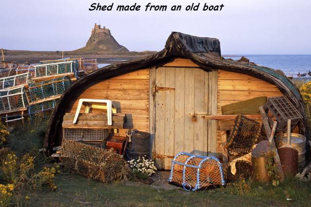 daily picdump weekend edition 61 pics 11.html - 61 HD Photos | Premium Gallery 2016