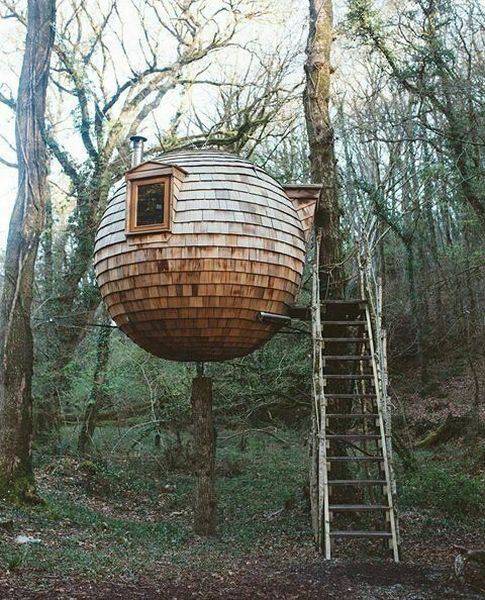 daily picdump weekend edition 61 pics 11.html - 61 HD Photos | Premium Gallery 2016