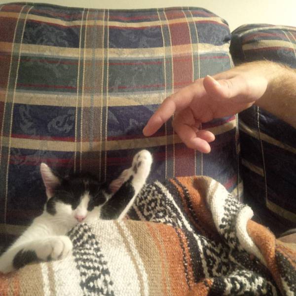 daily picdump weekend edition 61 pics 11.html - 61 HD Photos | Premium Gallery 2016