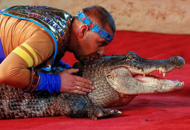 daily picdump weekend edition 61 pics 11.html - 61 HD Photos | Premium Gallery 2016