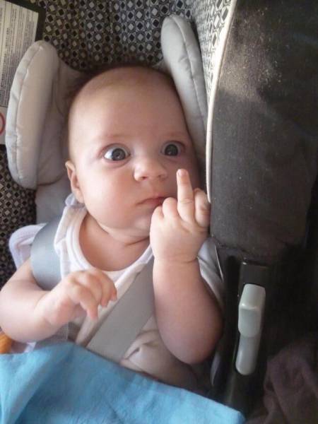 daily picdump weekend edition 61 pics 11.html - 61 HD Photos | Premium Gallery 2016