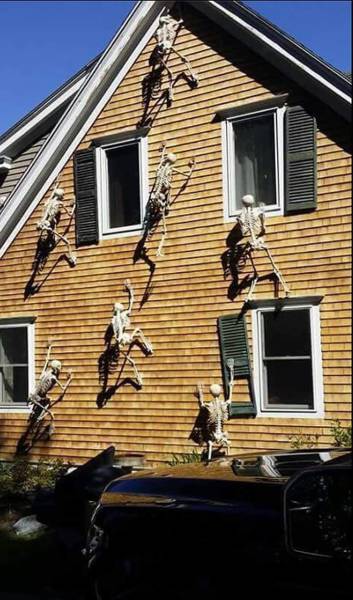 daily picdump 93 pics 41.html - 93 HD Photos | Premium Gallery 2016