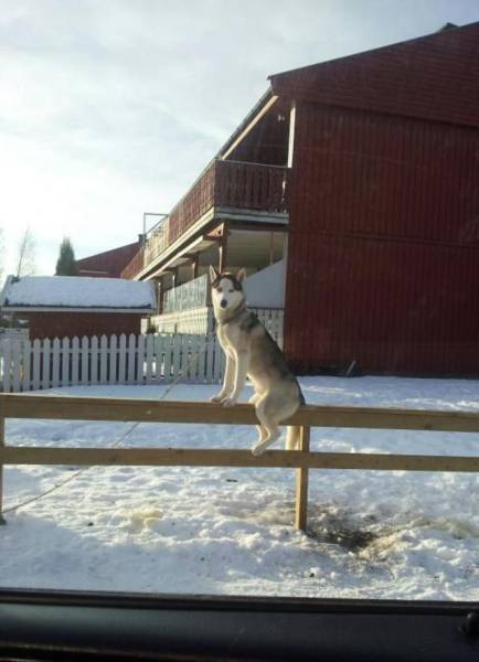 daily picdump 93 pics 41.html - 93 HD Photos | Premium Gallery 2016