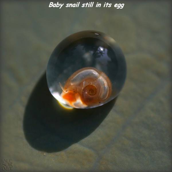 daily picdump 93 pics 41.html - 93 HD Photos | Premium Gallery 2016