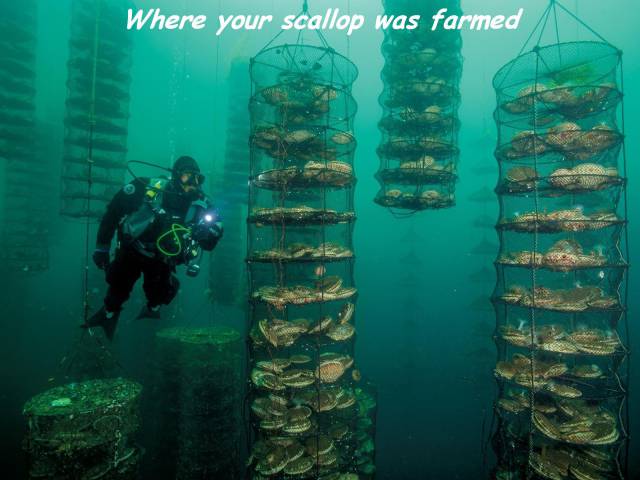 daily picdump 93 pics 41.html - 93 HD Photos | Premium Gallery 2016