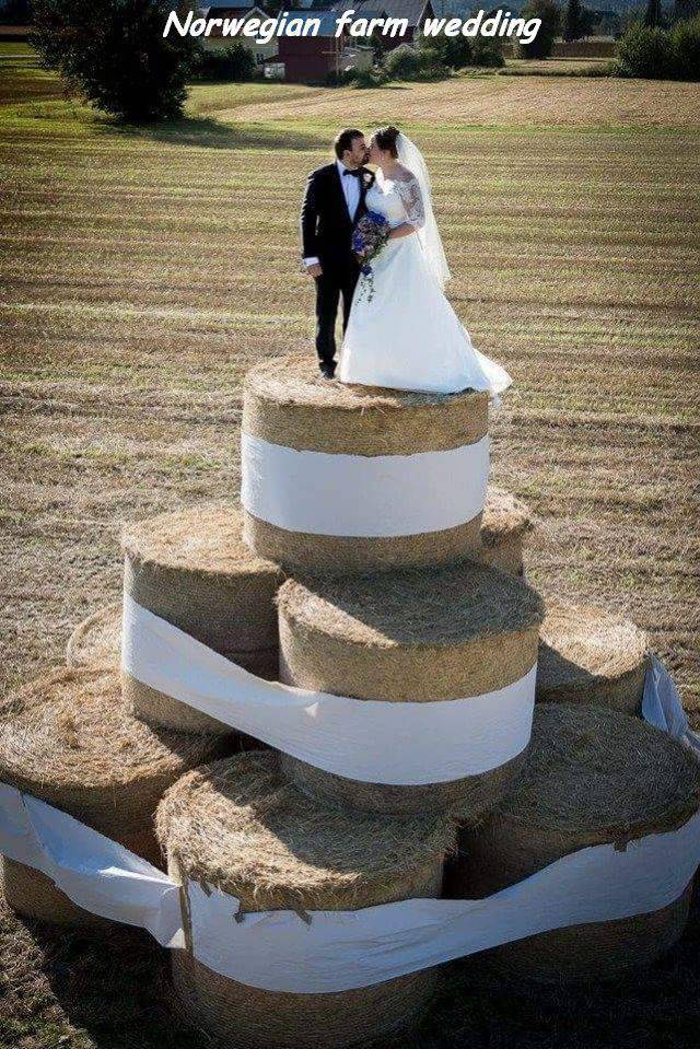 daily picdump 93 pics 41.html - 93 HD Photos | Premium Gallery 2016