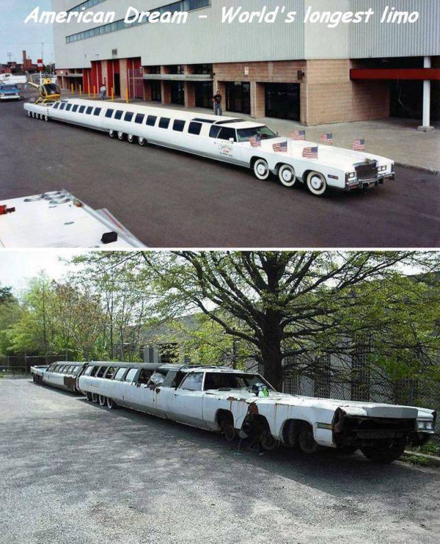 daily picdump 93 pics 41.html - 93 HD Photos | Premium Gallery 2016