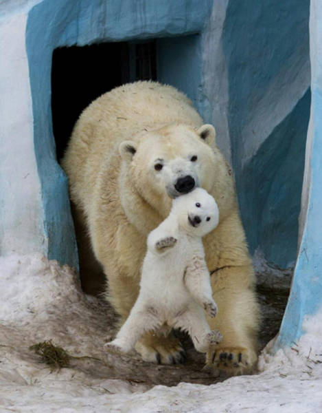 The Level of Awesomeness Is So Damn High