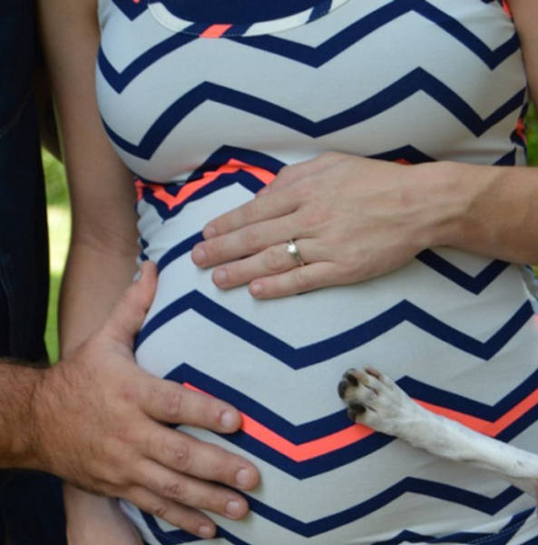 The Level of Awesomeness Is So Damn High