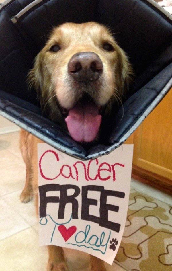 The Level of Awesomeness Is So Damn High