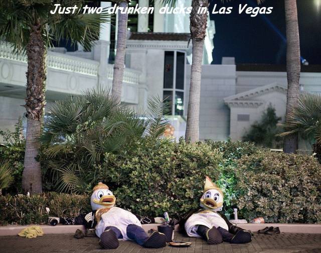 daily picdump 94 pics 15.html - 94 HD Photos | Premium Gallery 2016