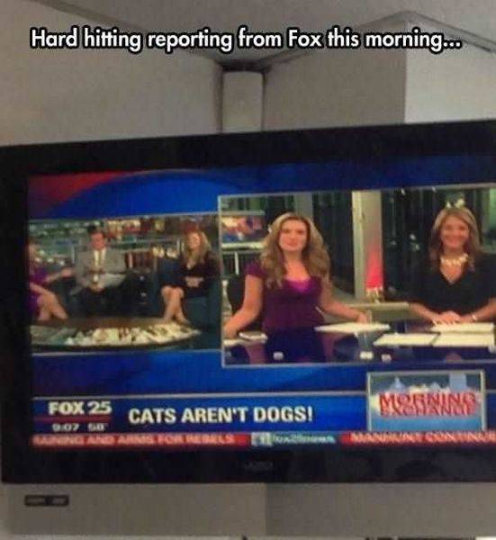 daily picdump 94 pics 15.html - 94 HD Photos | Premium Gallery 2016