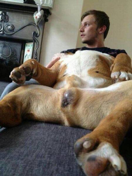 daily picdump 94 pics 15.html - 94 HD Photos | Premium Gallery 2016