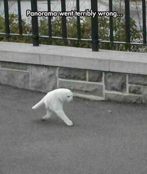 daily picdump 94 pics 15.html - 94 HD Photos | Premium Gallery 2016